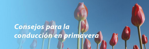 Consejos para la conducción en primavera