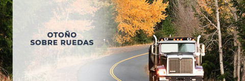 Otoño sobre ruedas