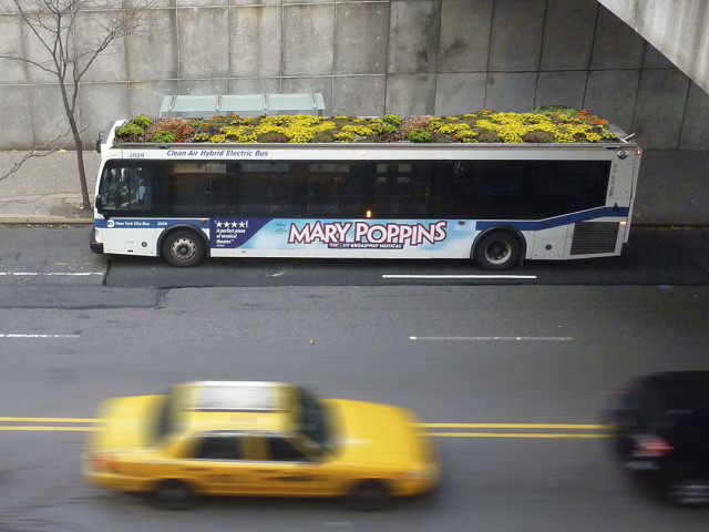 BusRoots o jardines en los autobuses de la ciudad